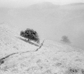 Тропинка в горах Чечни. Ноябрь 1990 года