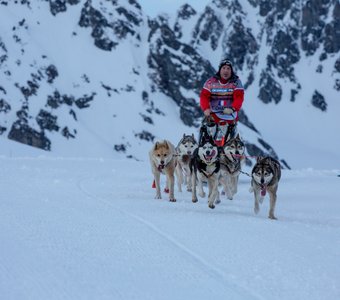 Lekkarod 2018 Sleddog race.  Этап в St Francois Longchamp. France.