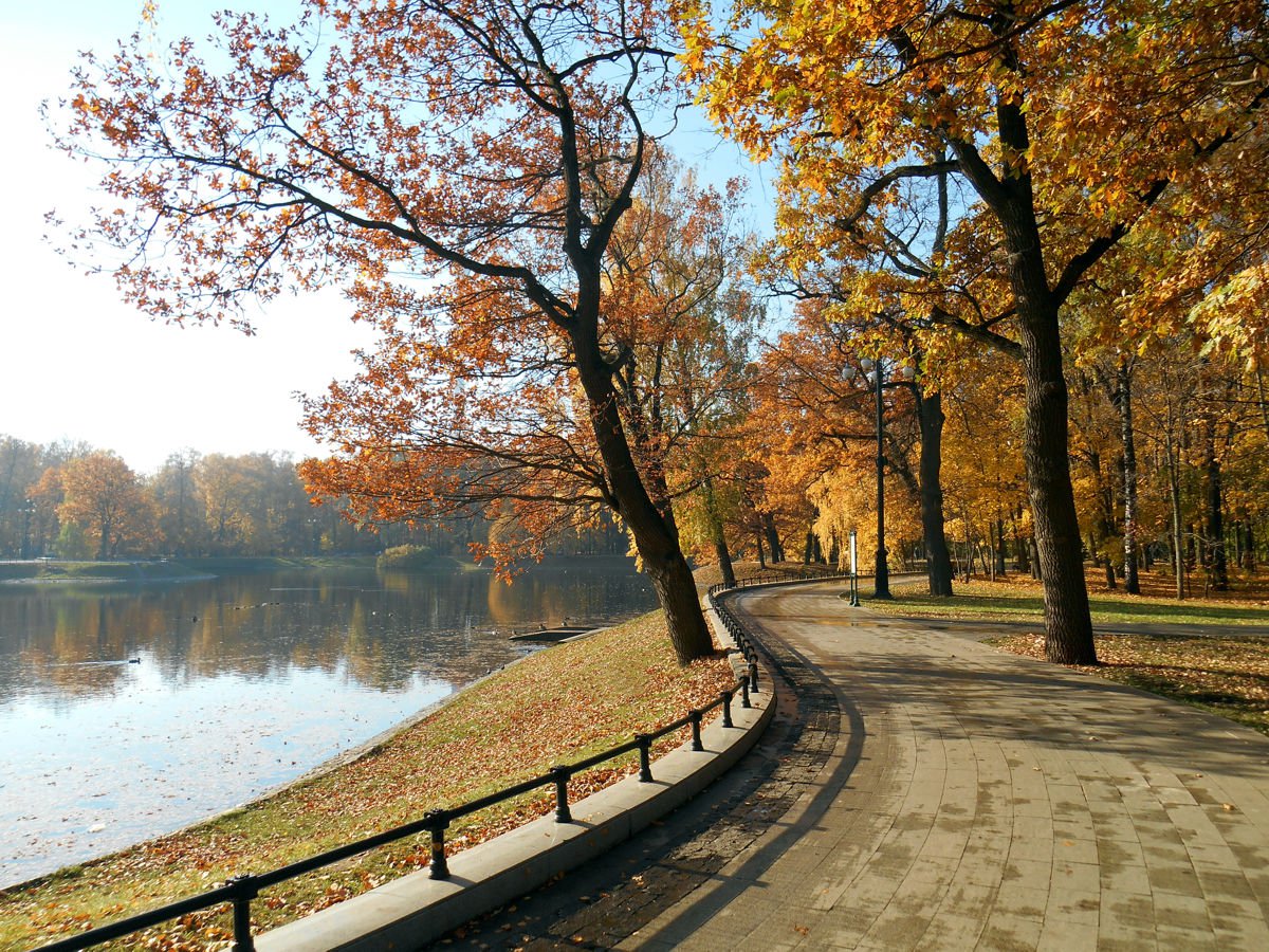 Осень в парке Останкино