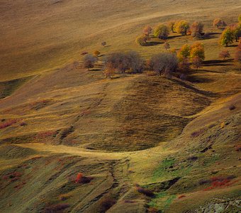 Осенние склоны