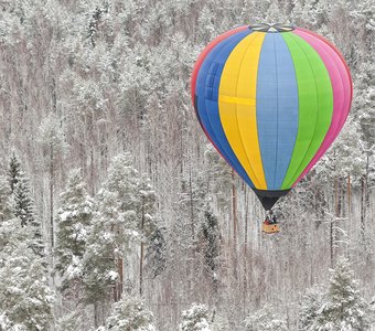 "Apples in the Snow"