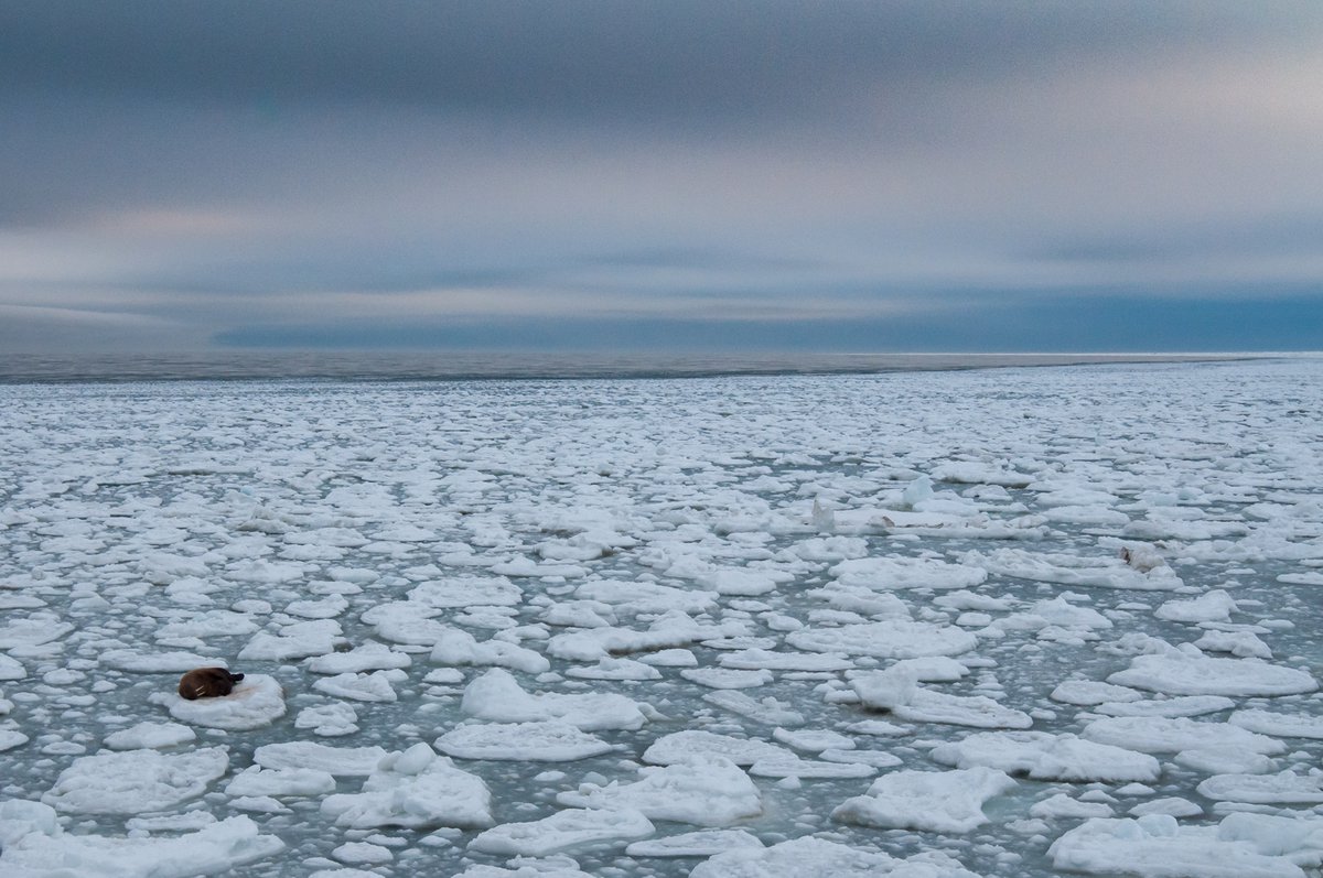 Лед уходит. Фото победитель конкурса National Geographic льдинки.