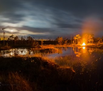 Ночёвка на болоте в полнолунье