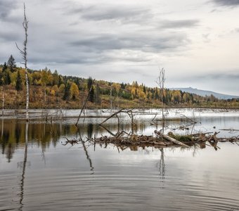 Колчим