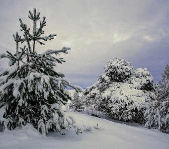 На скалах