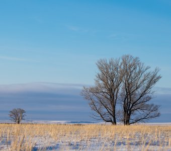 Перекличка в степи