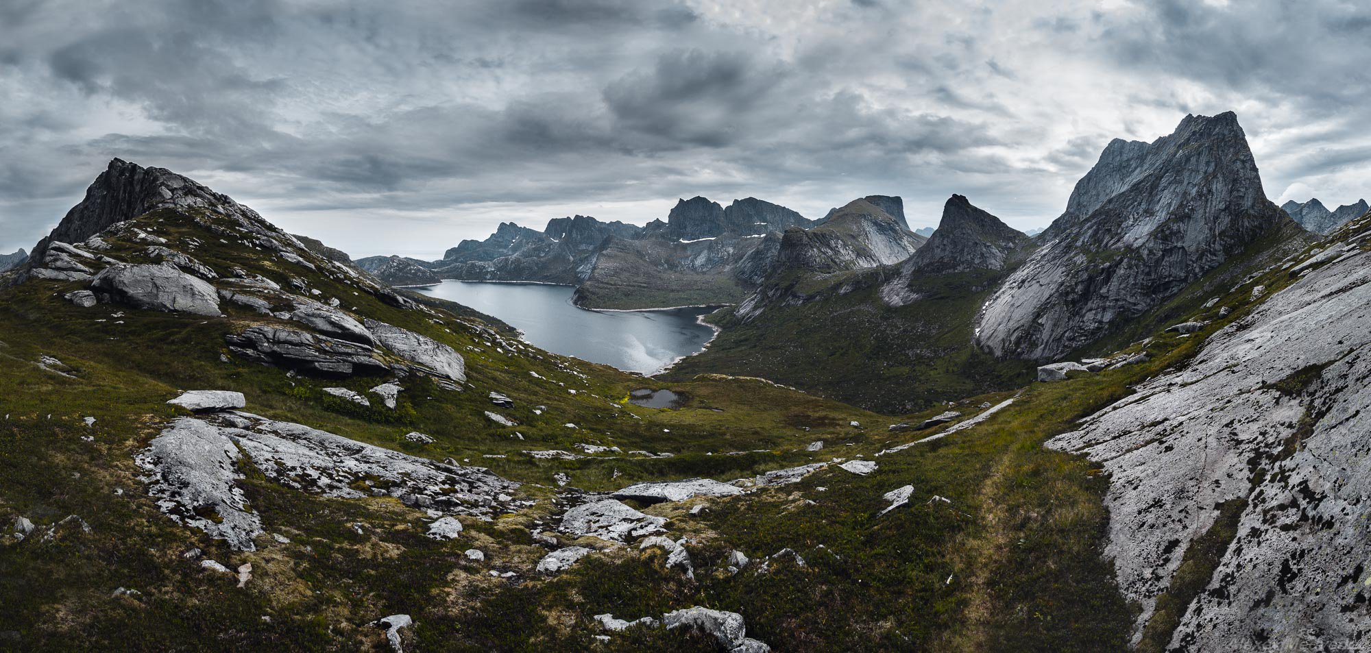 Lofoten horns