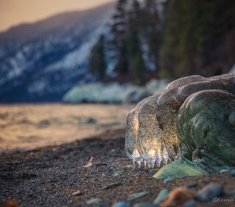 Ледяные медузы Телецкого озера (Горный Алтай)