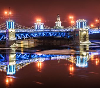 Кунсткамера и Новогодний Дворцовый мост