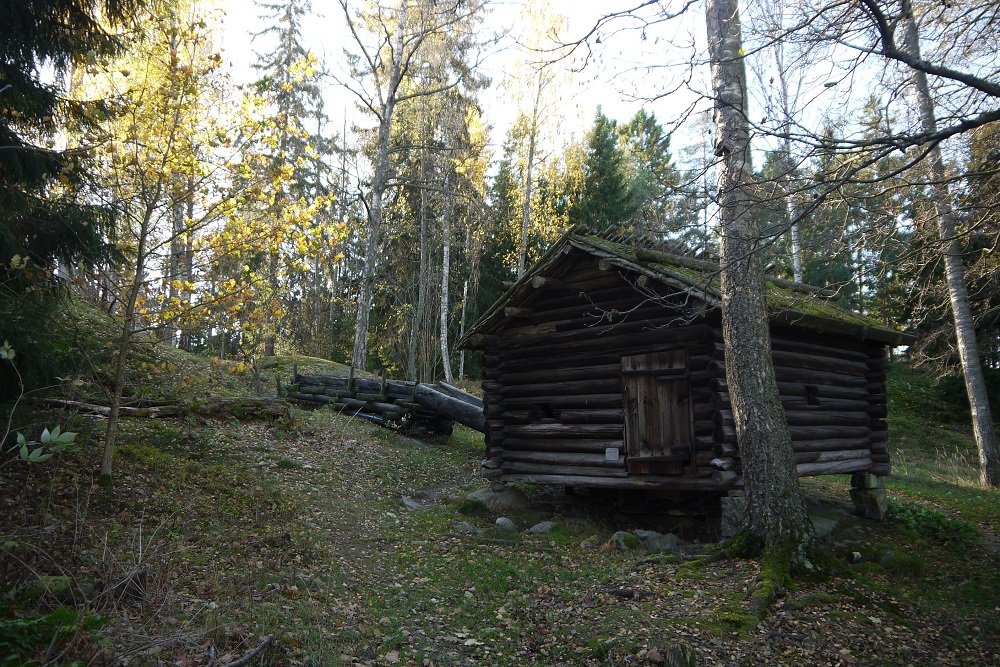 Конструктор ЛЕСОВИЧОК 