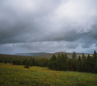 Уральские альпийские луга