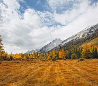 Все краски осени