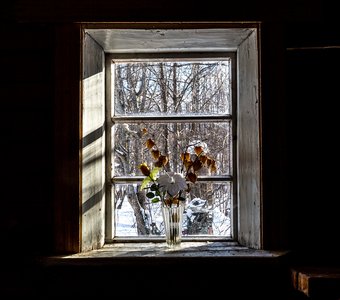 Вид из окошка часовни Рождества Пресвятой Богородицы в деревне Утуки Кондопожского района Карелии.