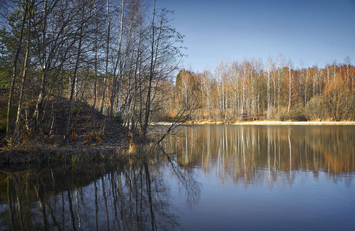 Лесное озеро Подушкинский лес