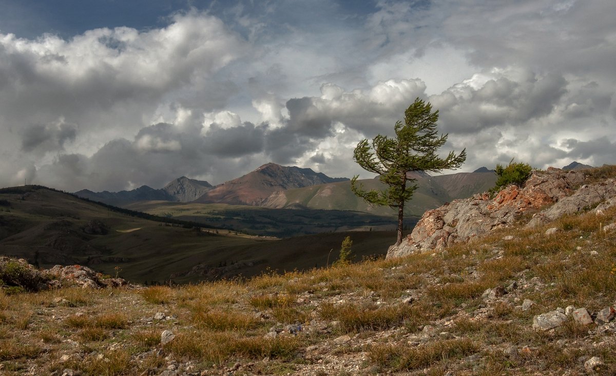 Алтайские зарисовки.