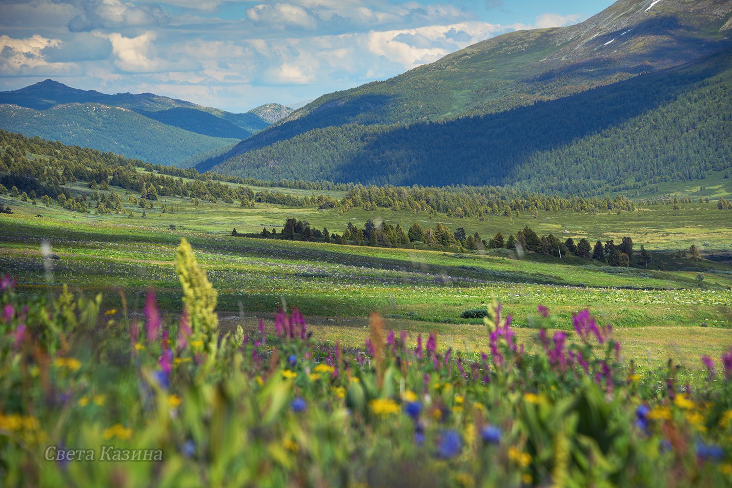 Светлана Казина Алтай фото