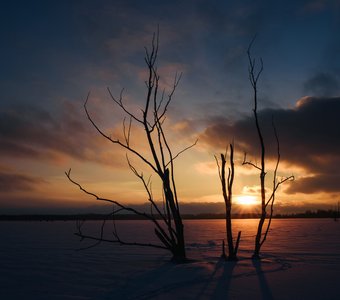 Сусканский залив