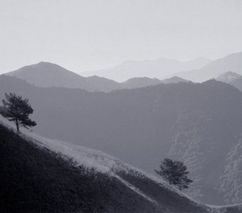 В горах Чечни. (Близ аула Бурты). Август 1986 года