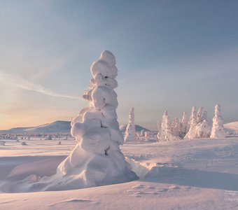 заснеженная поляна