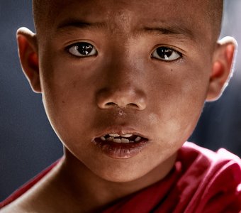 Портрет юного монаха. Мьянма.