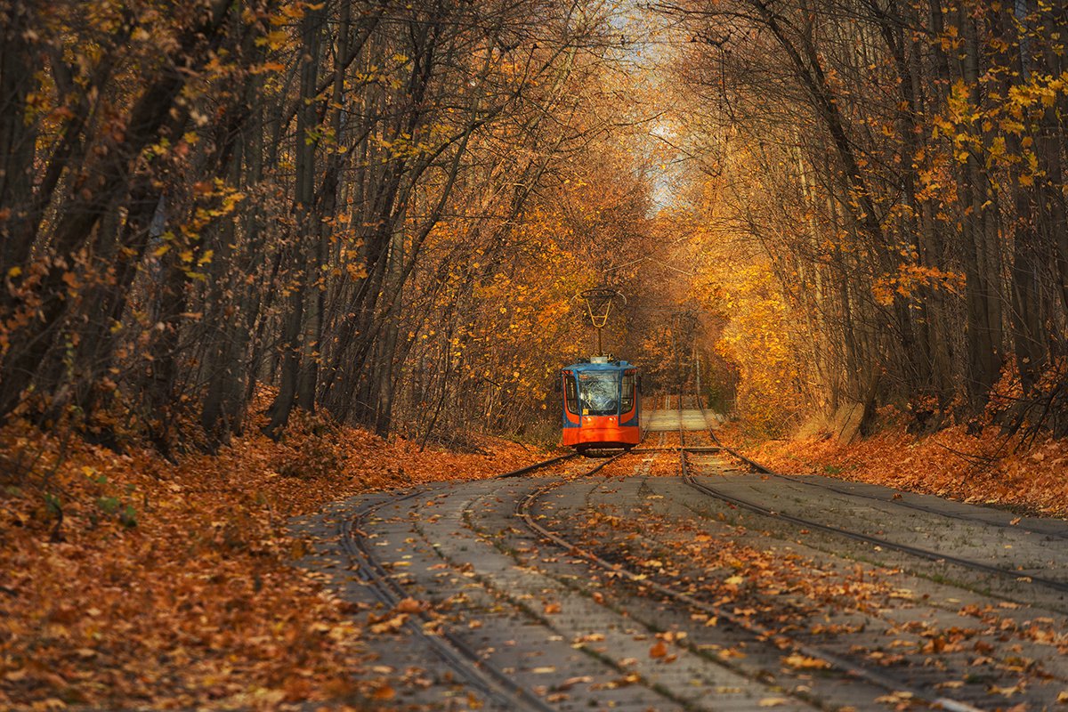 Трамвайная осень