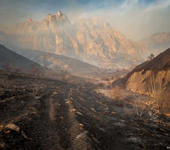 Выжженная земля в горах Чечни