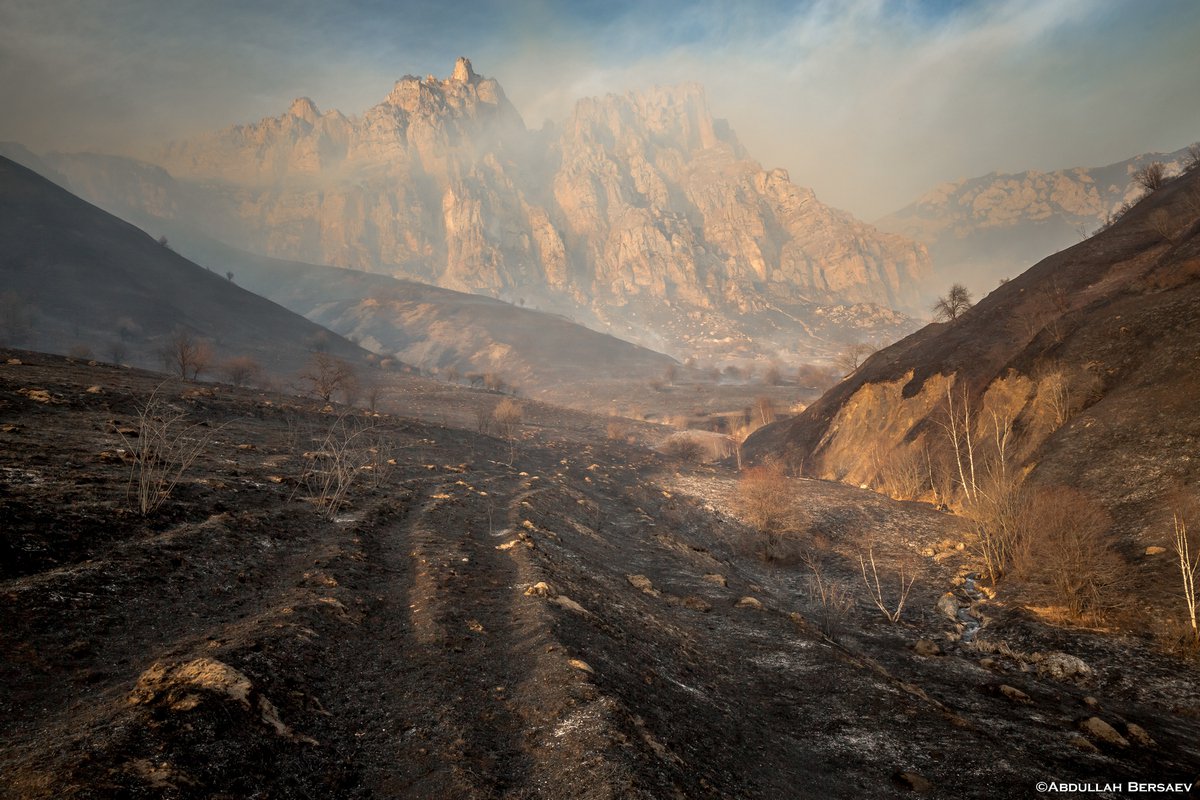 Выжженная земля в горах Чечни