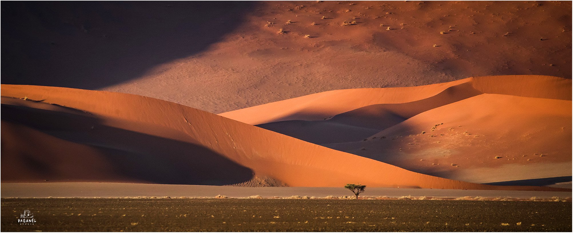 Утро в пустыне Намиб