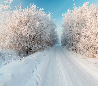 Дорога в сказку / Road to fairy tale