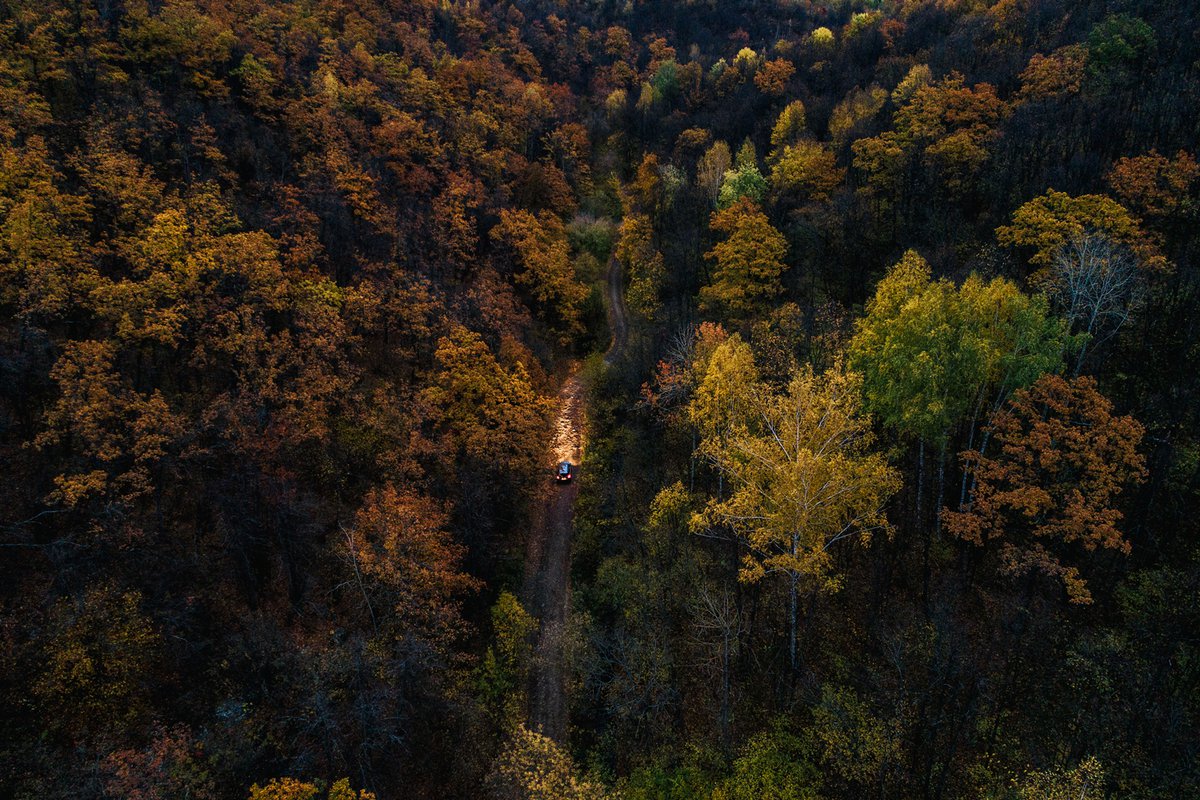 Коптев овраг. Коптев овраг фото. Коптев овраг Скай Виладж. Коптев овраг дома.