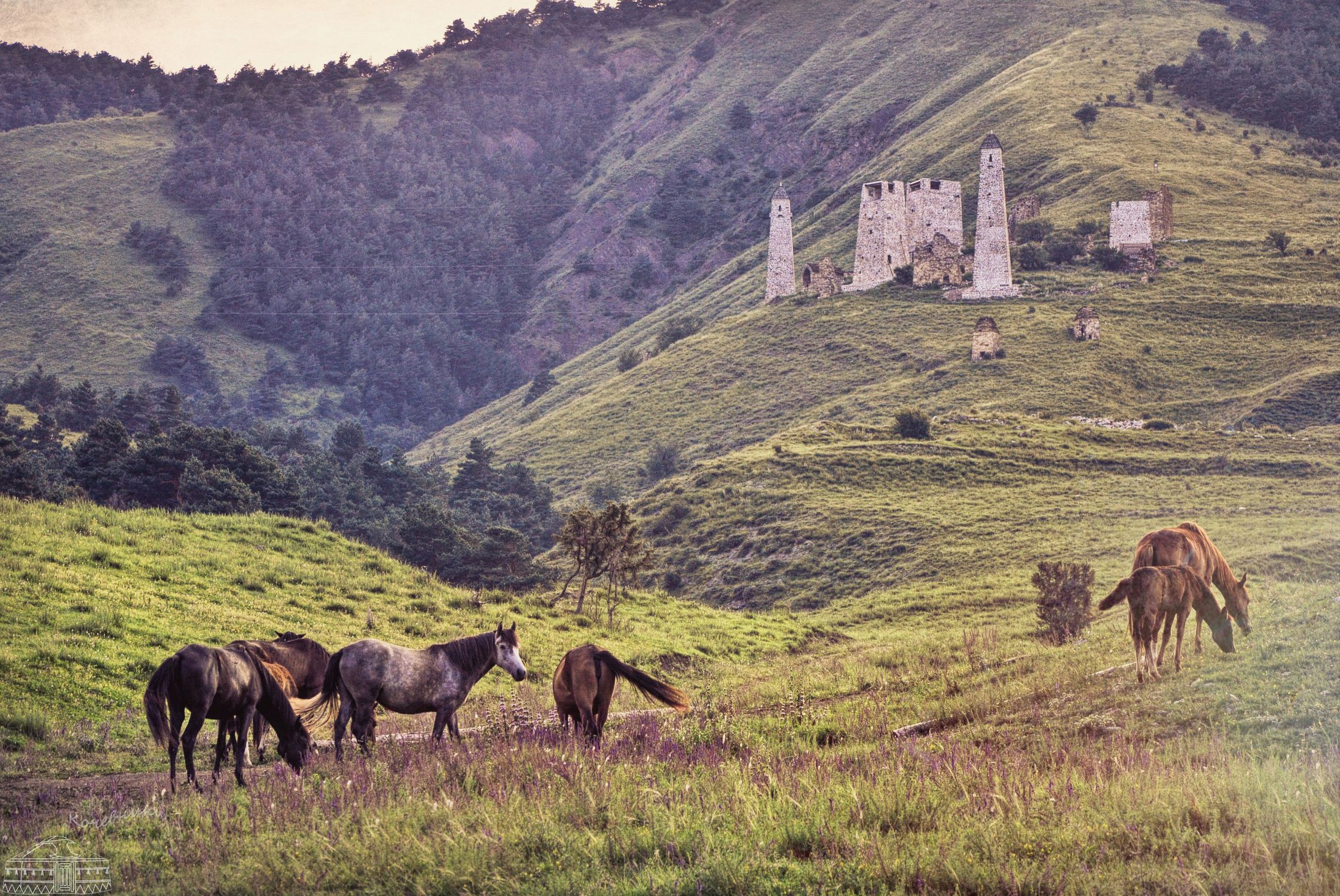 Ингушская мелодия. Горы Ингушетии Хамхи. Хамхи башни. Башни и лошади в горах Ингушетии. Горы Ингушетии лошади.