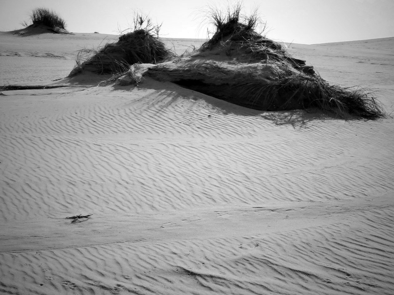 "Антиподы": Диптих