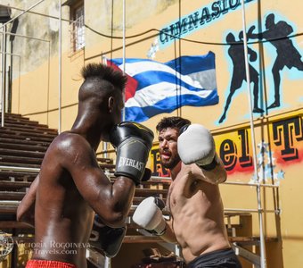 Школа Бокса на Кубе