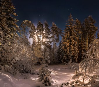 Рождественская ночь