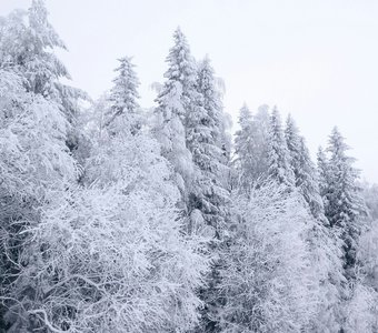 Невероятная снежная красота