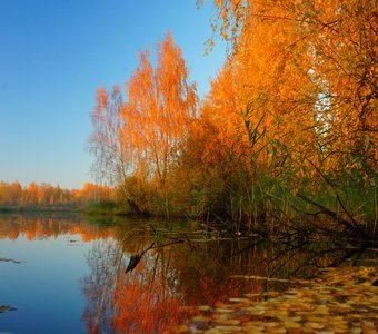 Зарисовки  осени