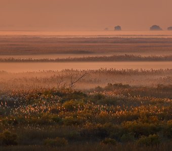 Осенняя фотоэкспедиция по Астраханскому заповеднику