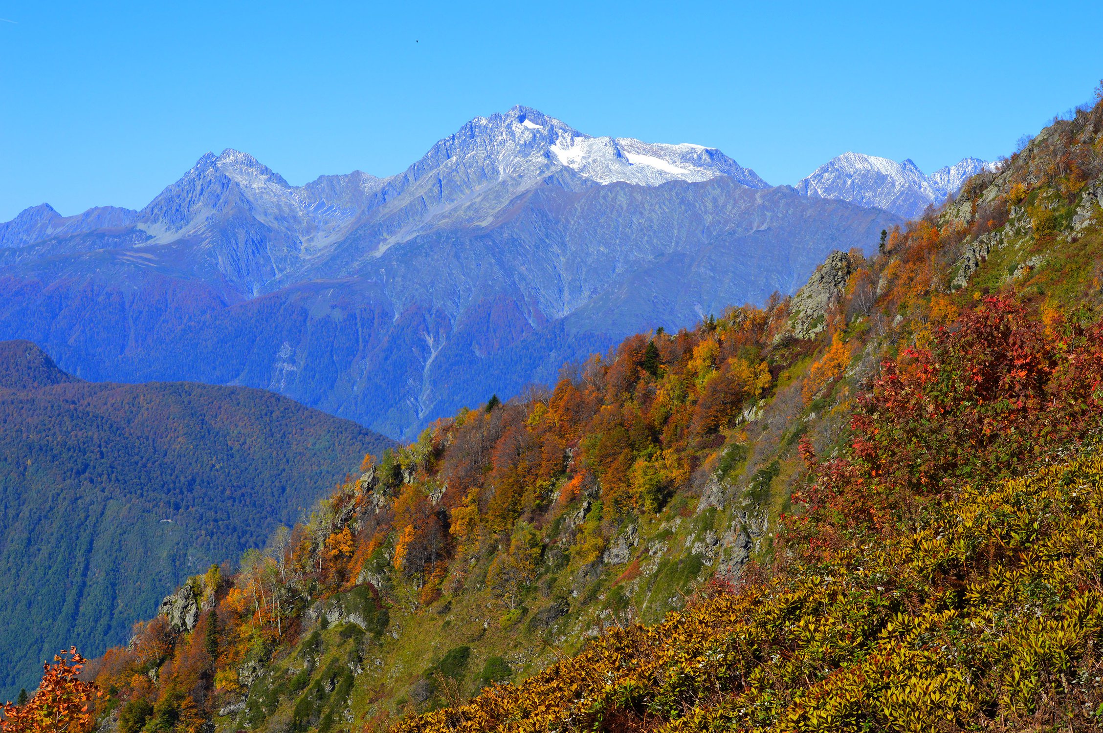 Золотая осень