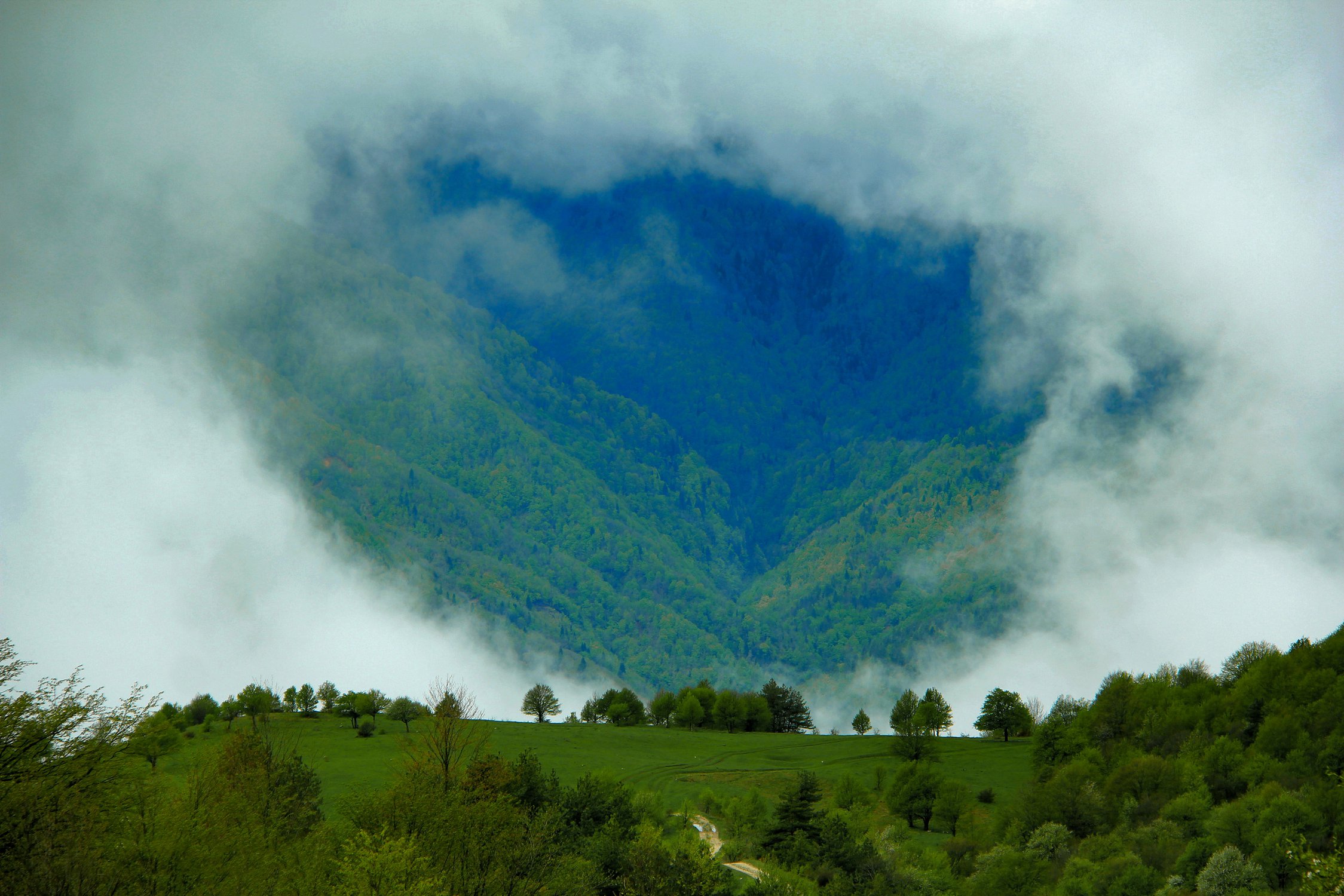 Landscape in the mist