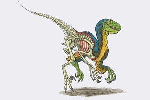 Док, это диплодок. Что вы знаете о динозаврах?