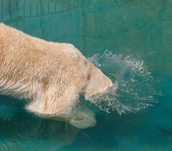 Вижу цель - иду на дно