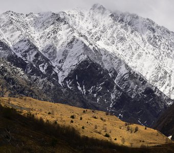 КАК ЗИМА С ВЕСНОЙ ВСТРЕЧАЛИСЬ.