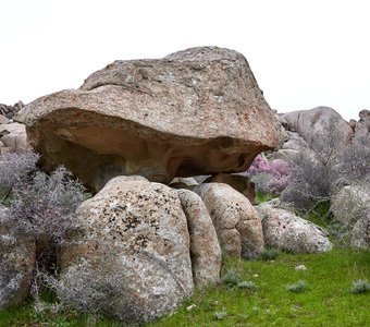Сад камней Койташ