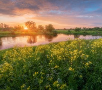 Майский вечер у реки Угры.