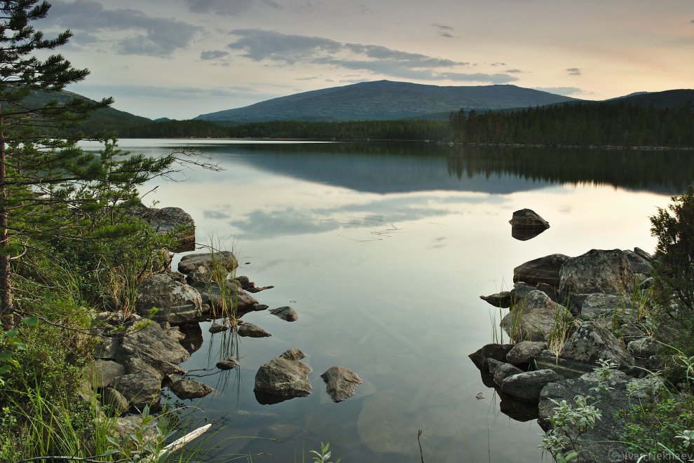 Летняя ночь