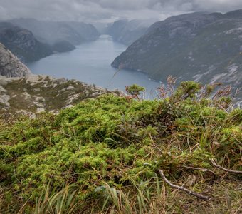 Норвегия - страна тишины
