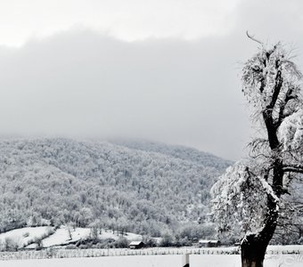 По дороге в Qebele