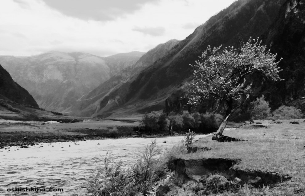 Сумерки... — Фото №18535 — Russian Traveler