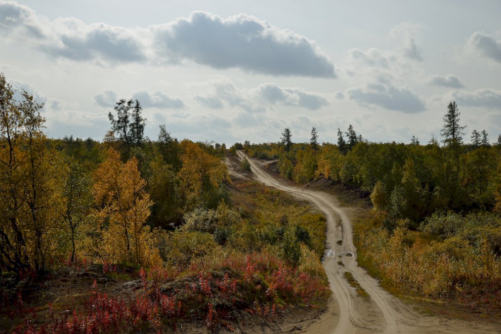 Глаз дорога