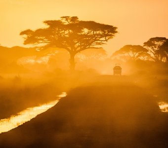 Дороги Африки